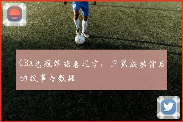 CBA总冠军花落辽宁，卫冕成功背后的故事与数据