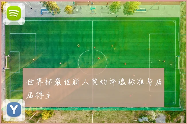 世界杯最佳新人奖的评选标准与历届得主